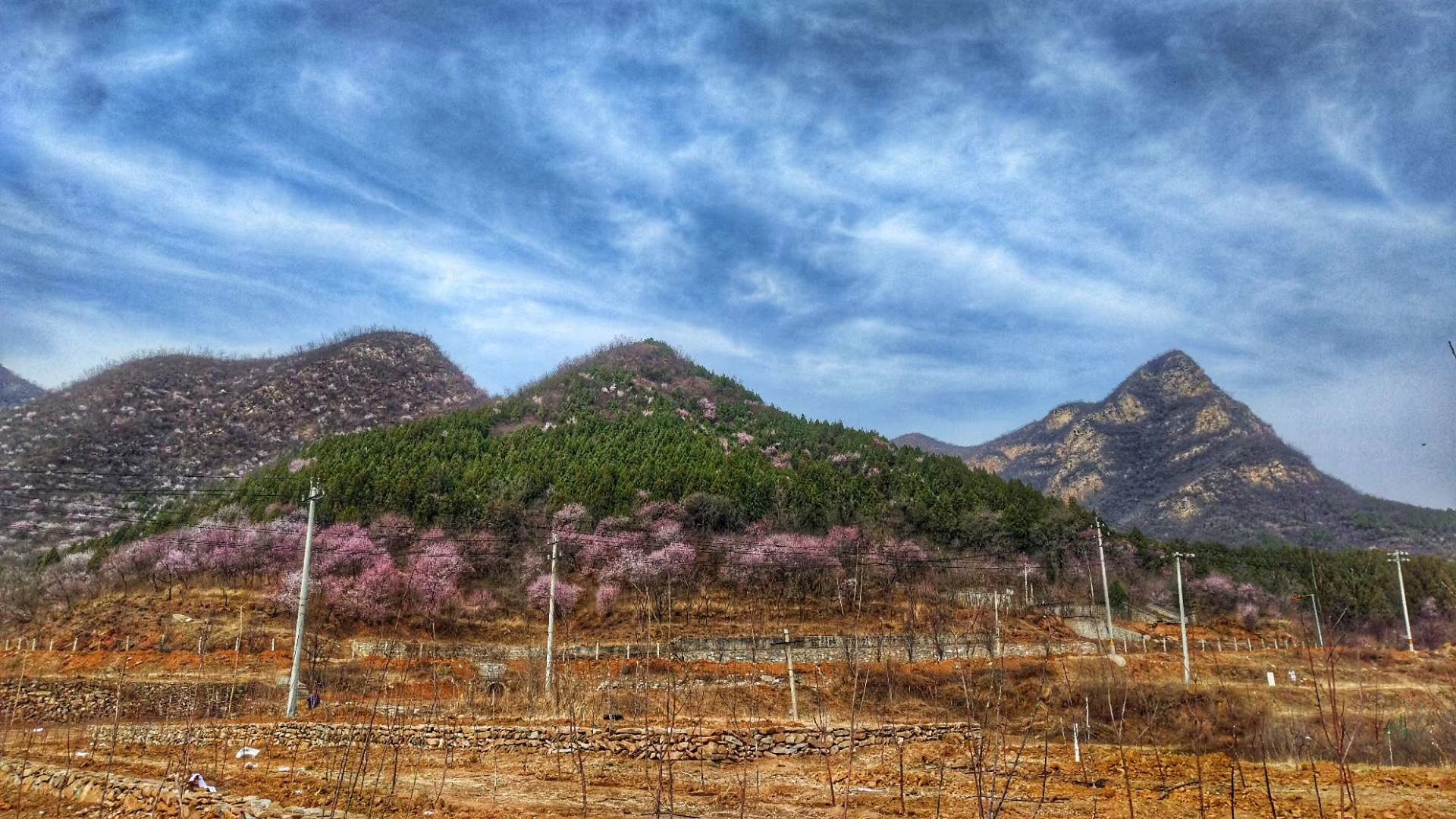 鳳凰山區環境